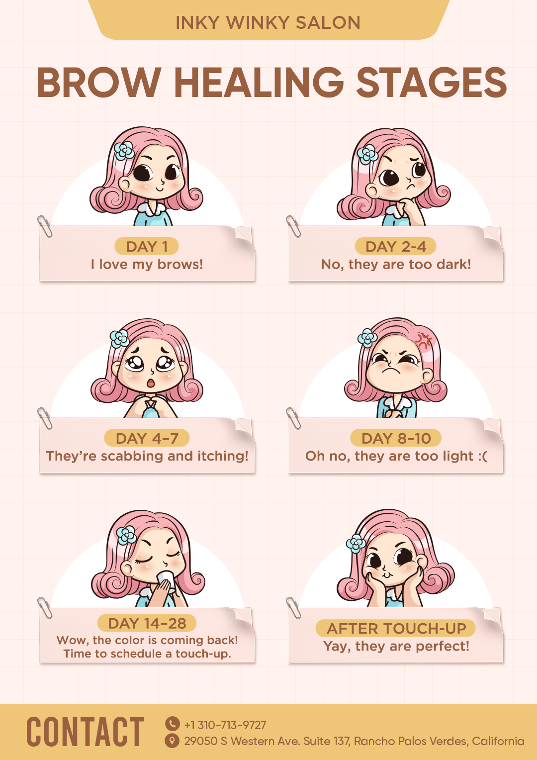 Brow healing stages explained